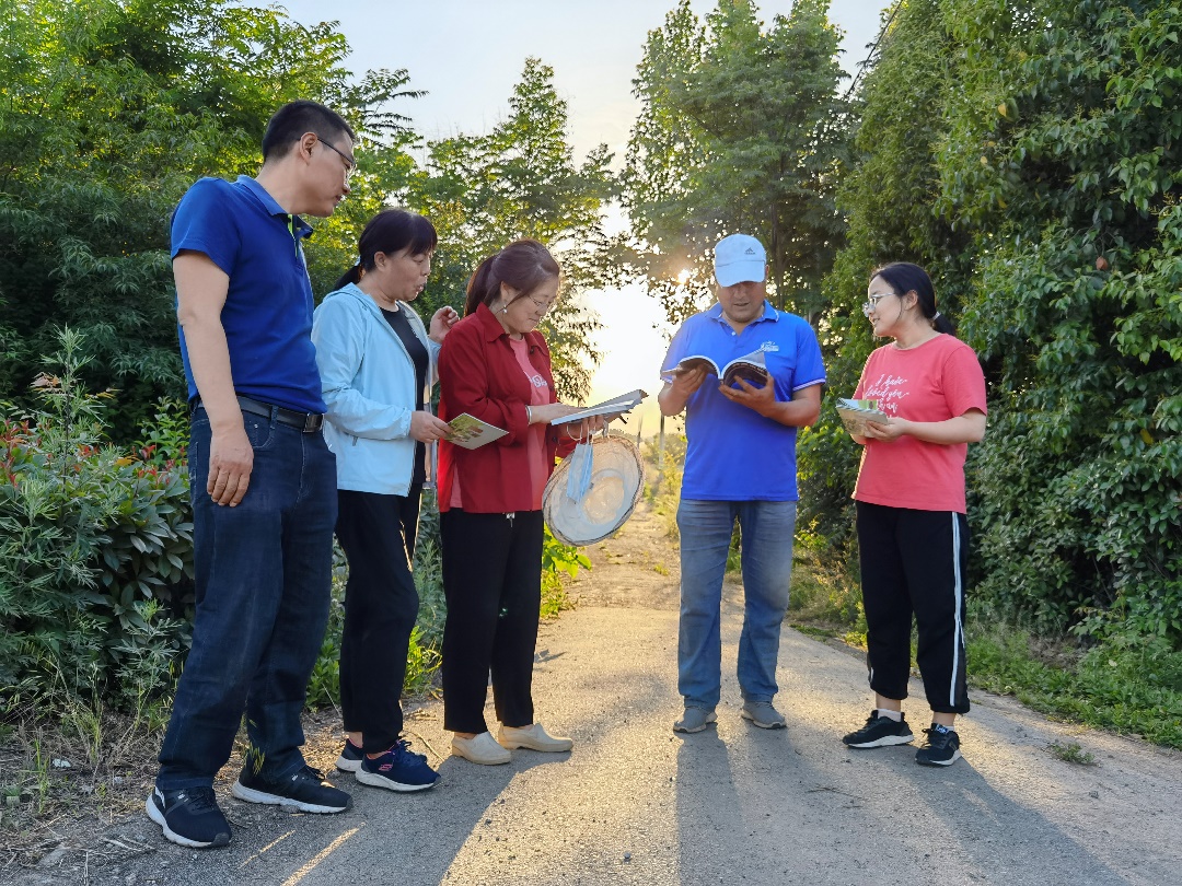 技助力乡村振兴麻将胡了杂粮科(图1)